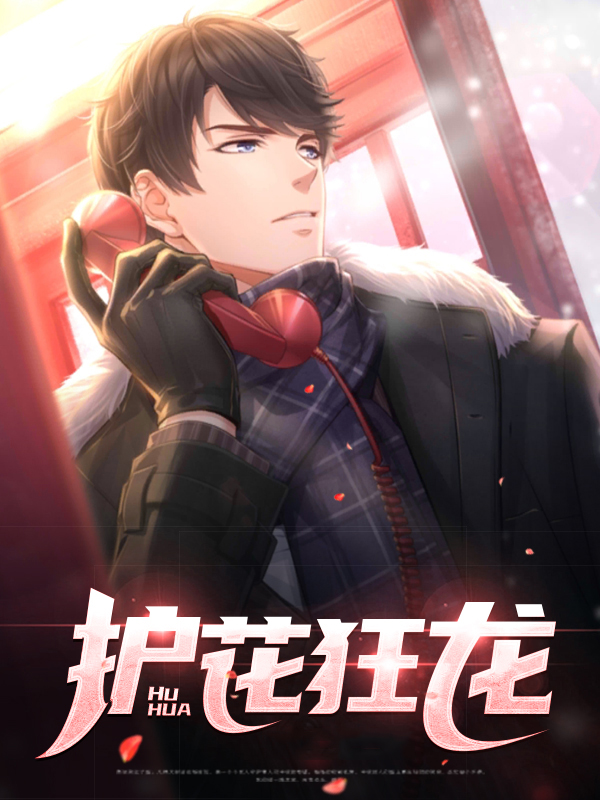 护花狂龙TXT下载奇书网