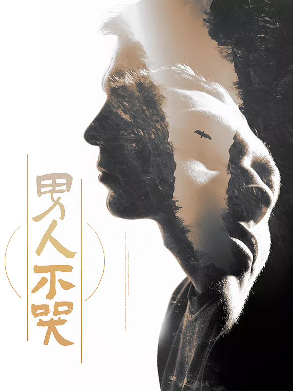 男人不哭小说阅读