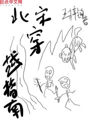 北宋穿越指南TXT下载