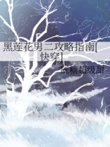 《黑莲花男二攻略指南》