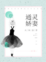 《通灵妃》小说