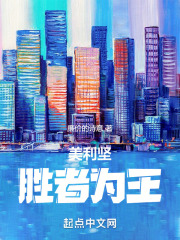 美利坚胜者为王小说