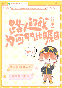 路人的我为何如此瞩目 小说