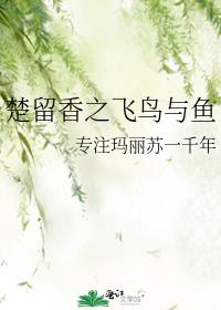 楚留香云飞卓