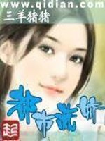 女总裁的王牌高手