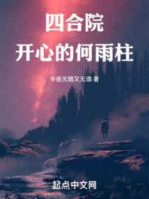 四合院5岁时的何雨柱小说