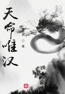 天命唯汉无弹窗