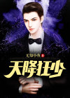 天降狂少 木人高秋