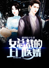 女总裁的上门医婿 寂夜如零