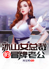 冰山女总裁的冒牌老公