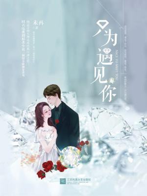 只为遇见你歌曲