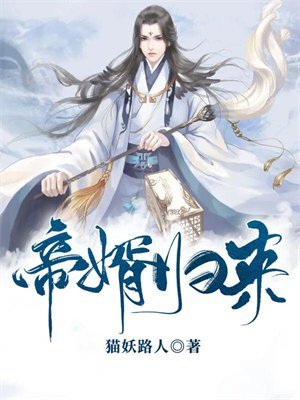 帝婿归来范贤