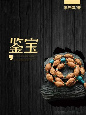 鉴宝小说十大巅峰之作