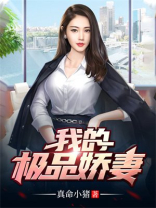 娇妻婉婉全文阅读免费