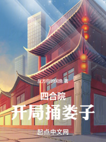 四合院開局捅了婁子