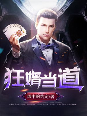 狂婿当道免费下载