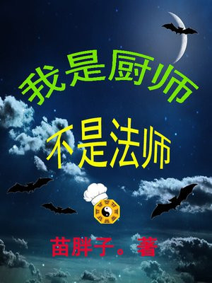 我是厨师小说