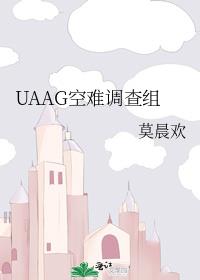 uaag空难调查组百度网盘