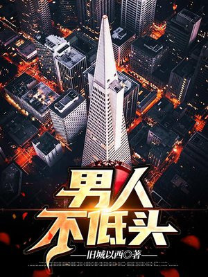 男人不低头淑颖全文阅读