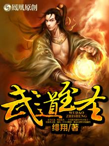 苏长青穿越综武世界,证道武道至圣
