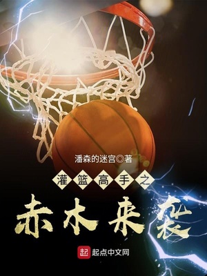 灌篮高手森重宽和赤木
