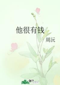 他很有钱周沅TXT下载