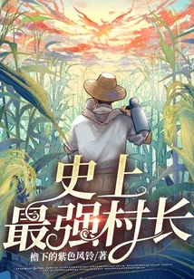 史上最强村长唐宁小说