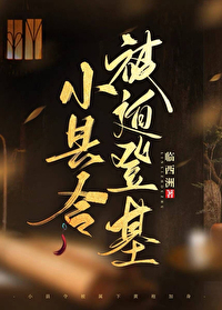 小县令被迫登基(基建)作者:临西洲