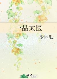 一品太医 小说