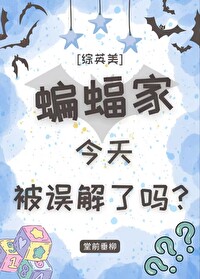 综英美蝙蝠家今天被误解了吗txt