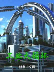 工业大循环小说