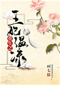 重生之王妃温凉txt百度云