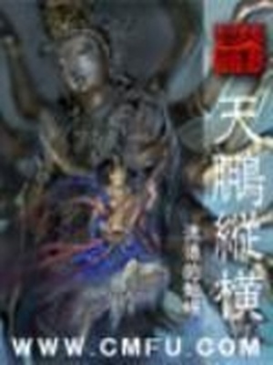 天鹏纵横好看不