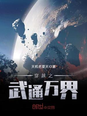 穿越之武通万界 小说