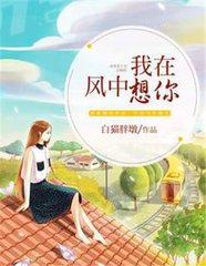 我在风中想你 白猫胖墩