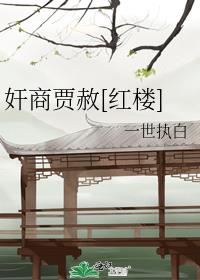 红楼梦贾政贾赦