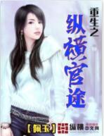 重生之纵横官途