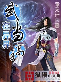 武当传人在异界顶点