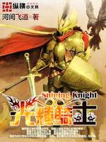 光辉骑士改装