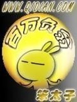 百万负翁 笨太子