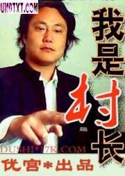 假如我是村长