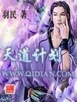 天道计划夏国十三子小说