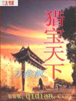 猎宝天下TXT下载