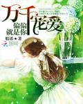 偏偏是你陆愿全文免费阅读