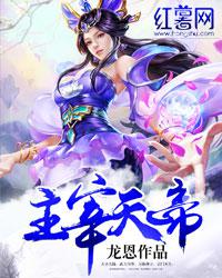 主宰天帝 小说