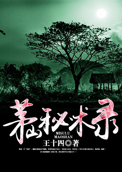 茅山秘术录TXT