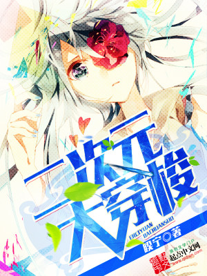 二次元大穿梭txt