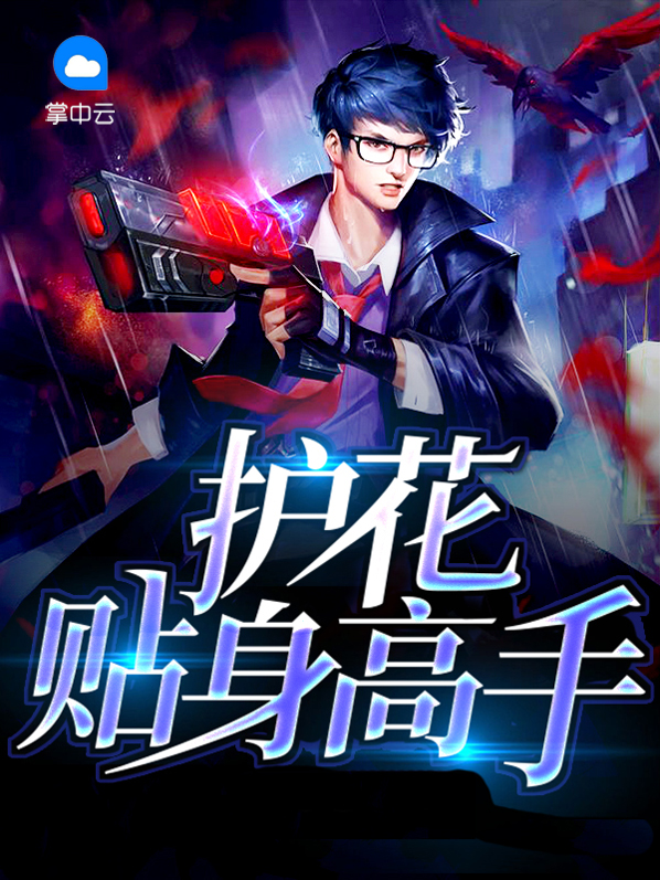 护花贴身高手 小说