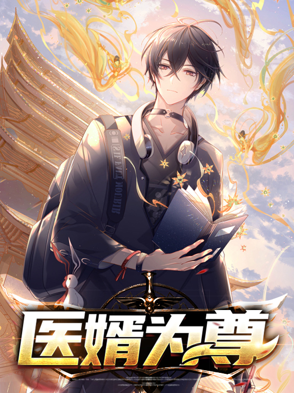 医婿全目录