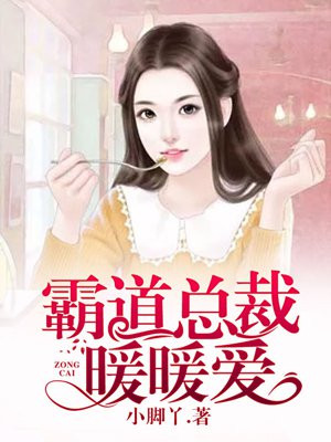 霸道总裁暖暖爱小说